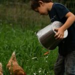 Revolutionising Farm Efficiency with a Unified Poultry Solution