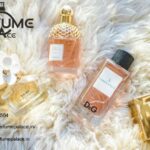 Best Online Perfume Shop | Perfumepalace.in