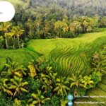Boek Bali Vakantie Tour Online | Ikganaarbali.nl