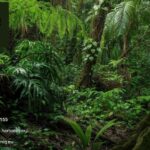 Supplements For Menopause | Herbaniq.eu