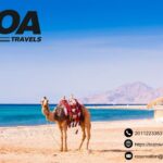 7 Days Egypt Tour Package | Toatravels.com