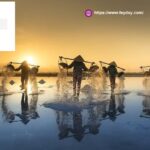 Businesses For Sale In Singapore | Feyday.com