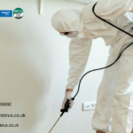 Keep Homes Safe With Affordable Pest Control Services London Experts